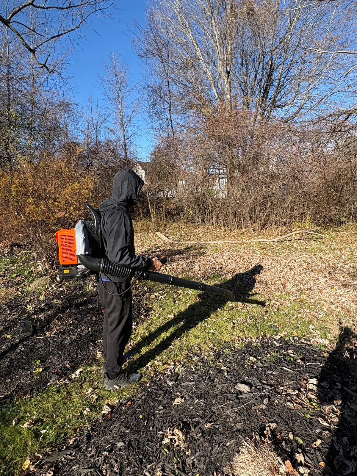 Blowing/Debris Removal